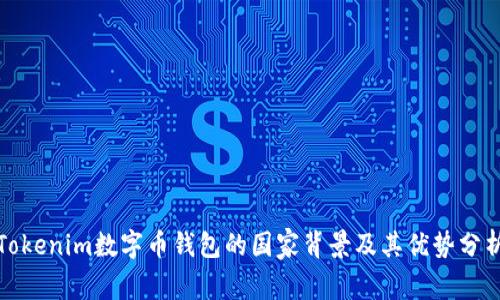 Tokenim数字币钱包的国家背景及其优势分析