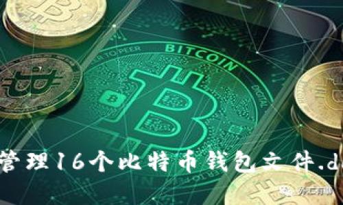 如何使用和管理16个比特币钱包文件.dat：全面指南