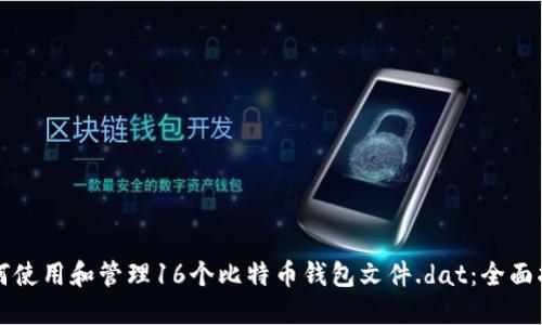 如何使用和管理16个比特币钱包文件.dat：全面指南