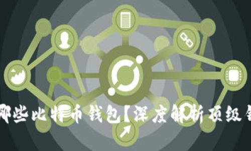 大佬们都在用哪些比特币钱包？深度解析顶级钱包的选择指南