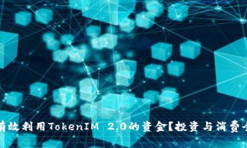 如何有效利用TokenIM 2.0的资金？投资与消费全攻略