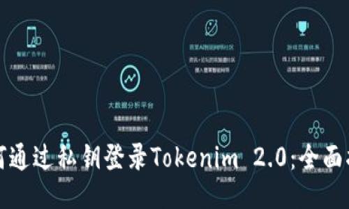 如何通过私钥登录Tokenim 2.0：全面指南
