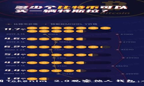 如何使用Tokenim 2.0观察他人钱包：全面指南