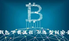 全面解析虚拟币钱包下载流程：从选型