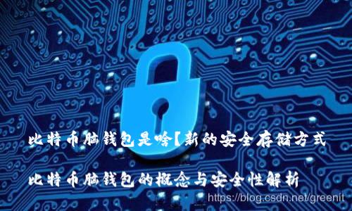 比特币脑钱包是啥?新的安全存储方式
比特币脑钱包的概念与安全性解析