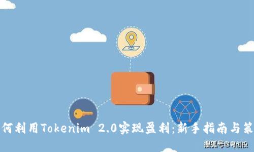 如何利用Tokenim 2.0实现盈利：新手指南与策略