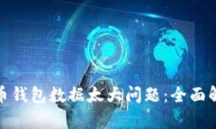 如何解决比特币钱包数据太大问题：全