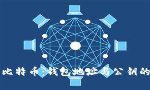 深入理解比特币：钱包地址与公钥的关系解析